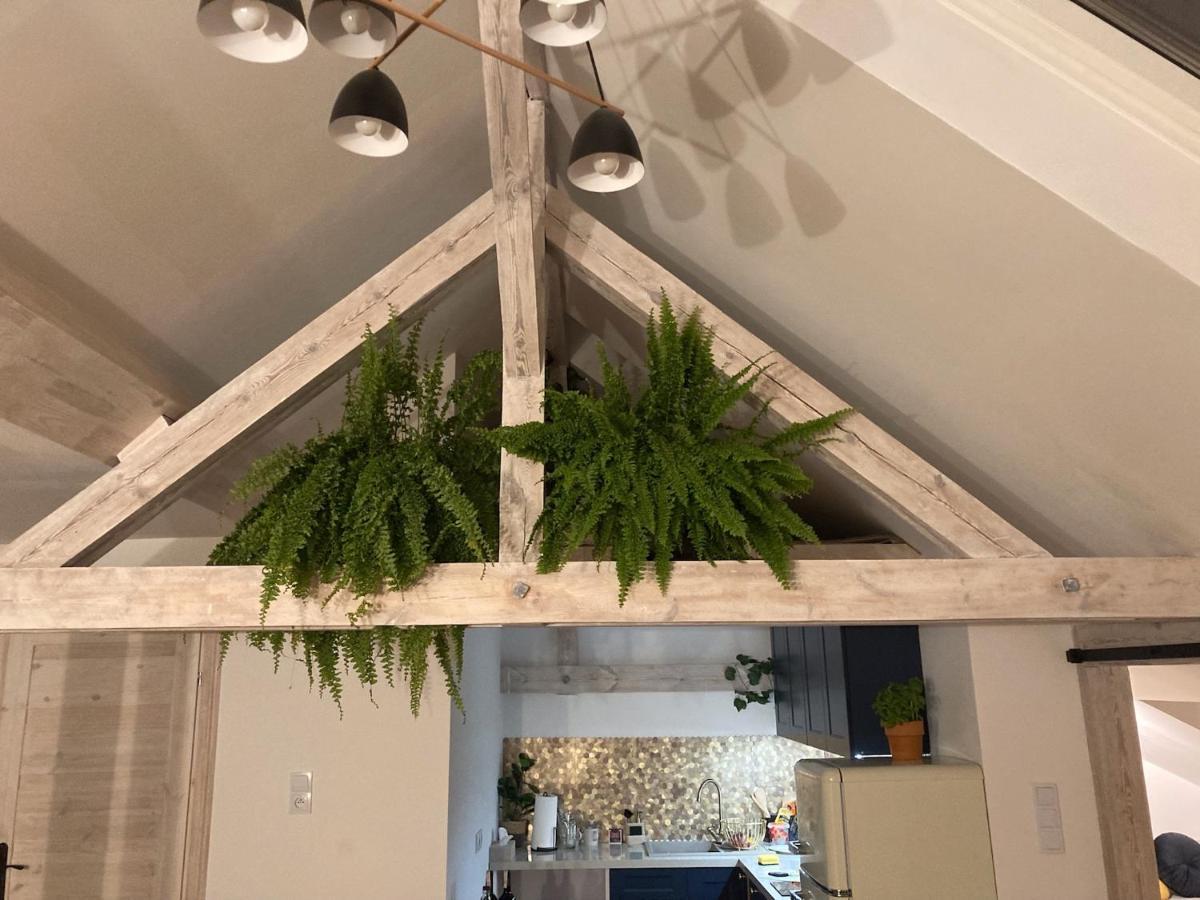 Attic Appart Stary Toruń Extérieur photo